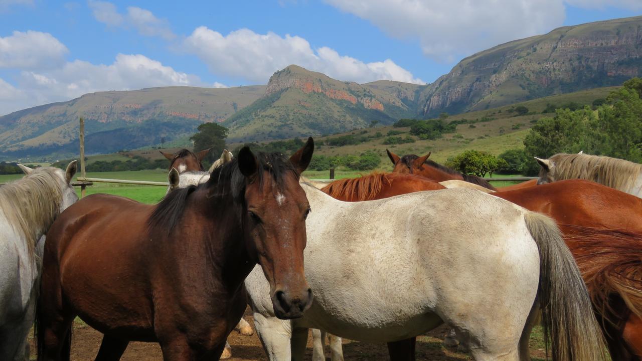 Verlorenkloof Dullstroom Esterno foto